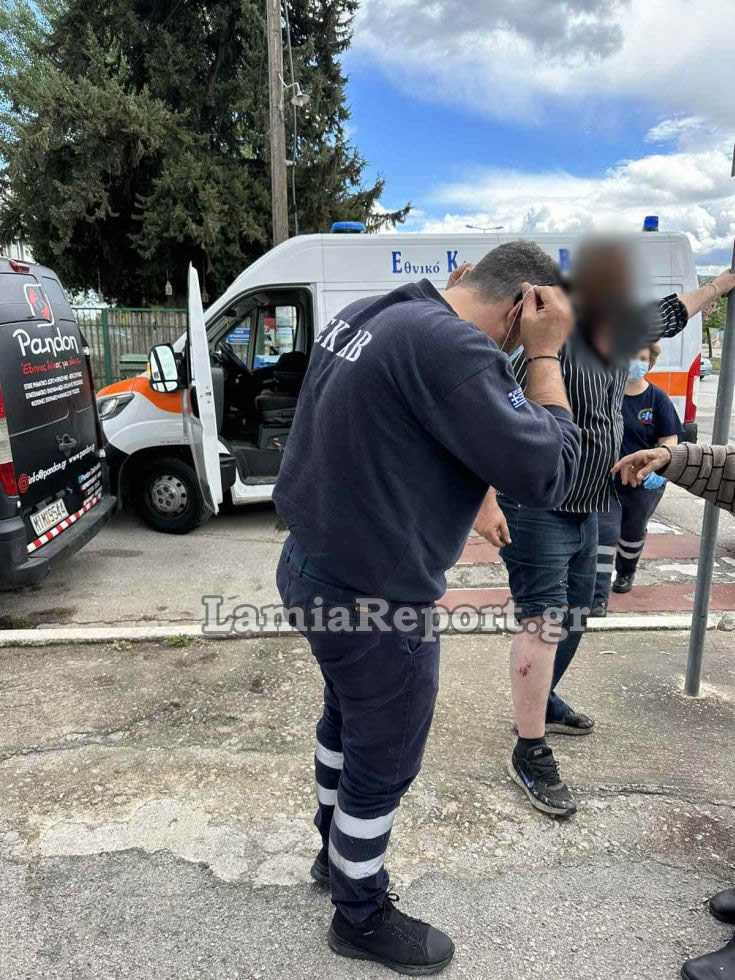 Λαμία Αδέσποτα σκυλιά