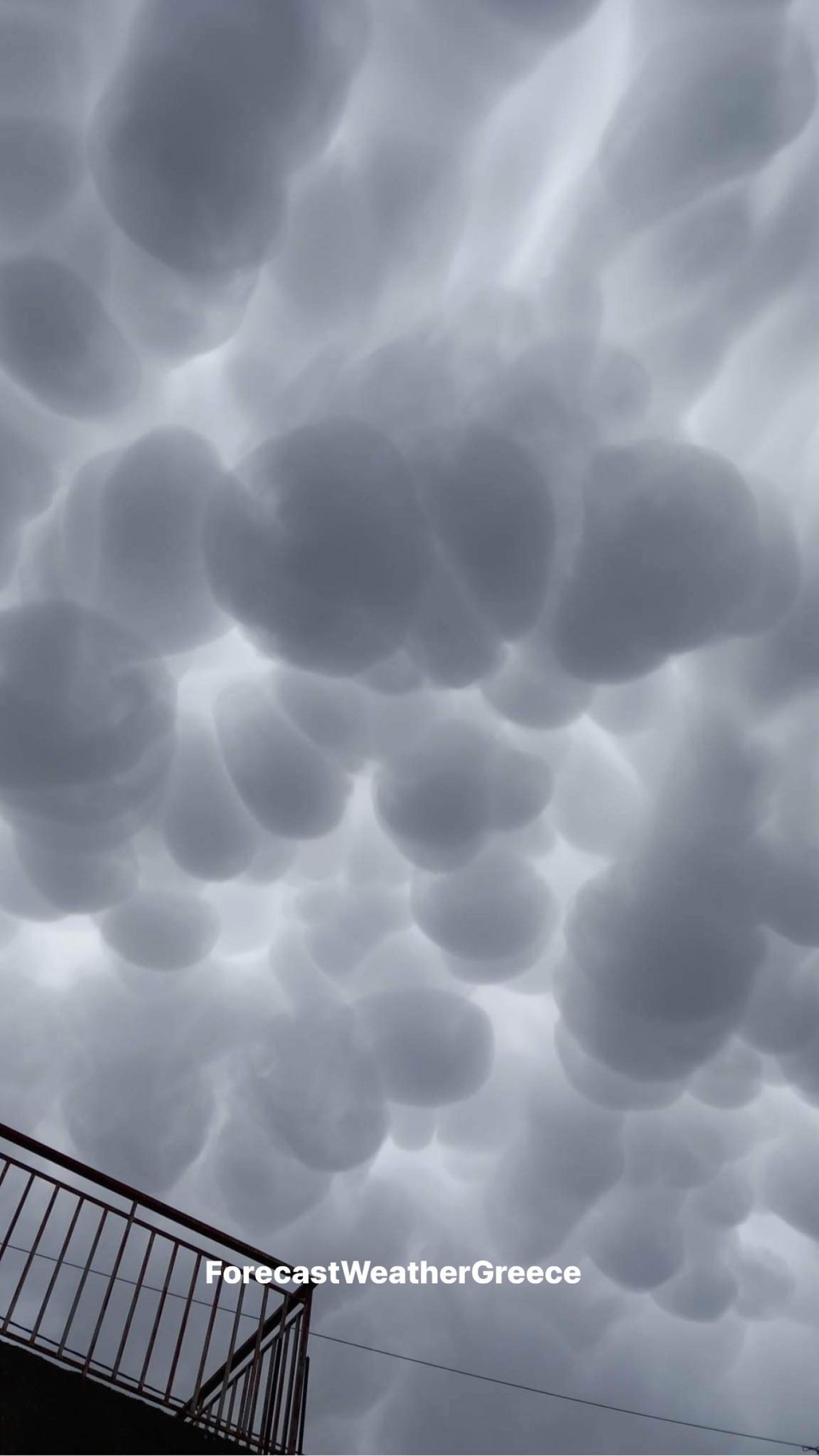 mammatus