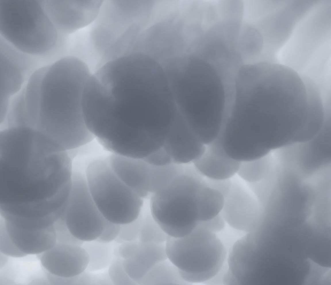 mammatus