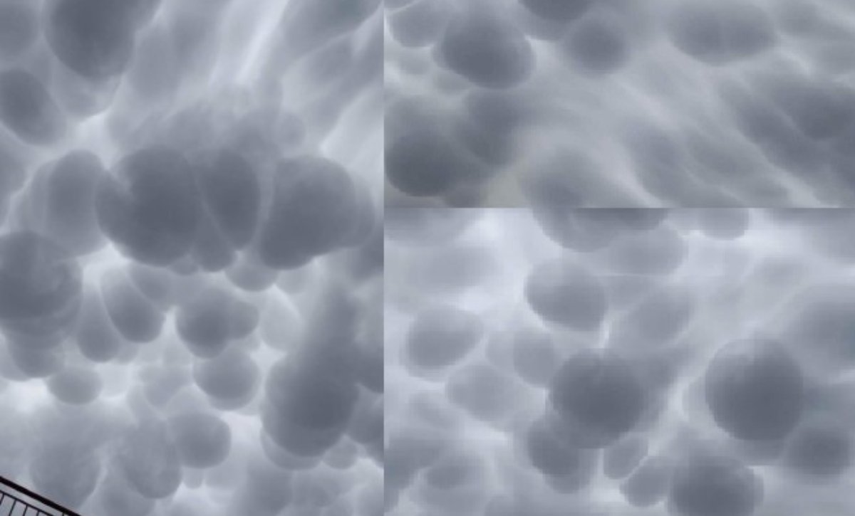 mammatus