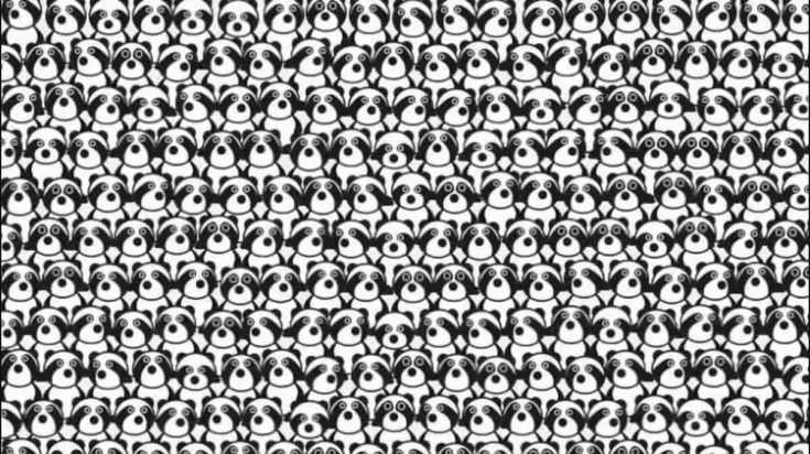 οπτική ψευδαίσθηση