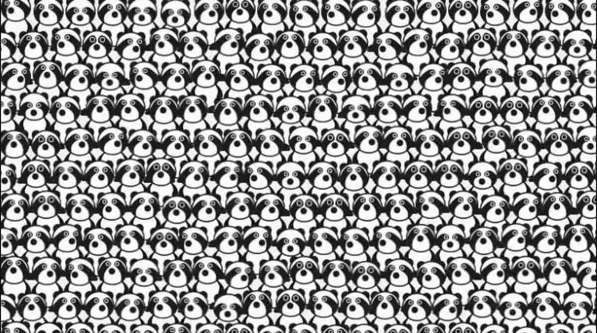 οπτική ψευδαίσθηση