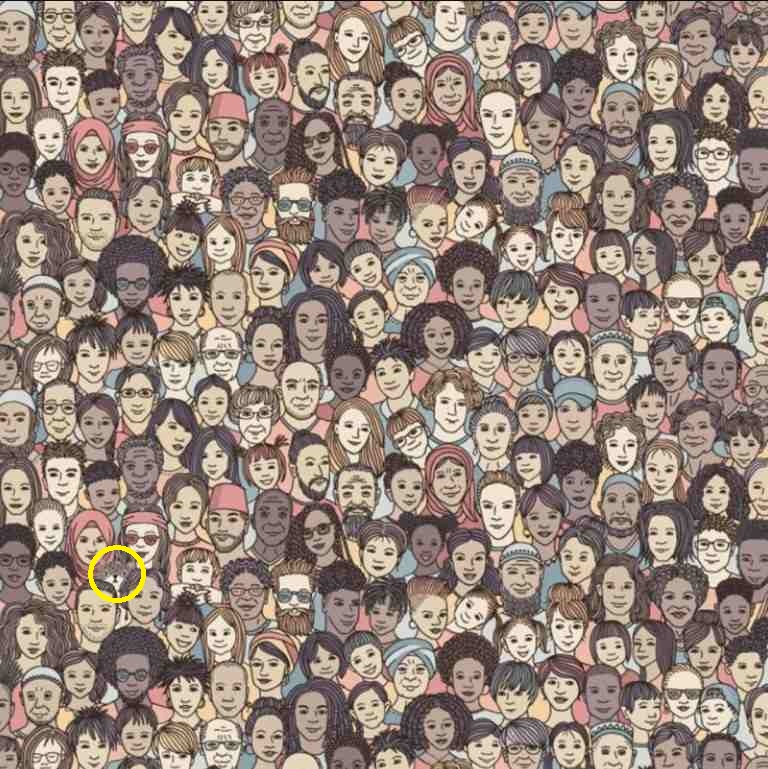 Οπτική Ψευδαίσθηση Γάτα Λύση