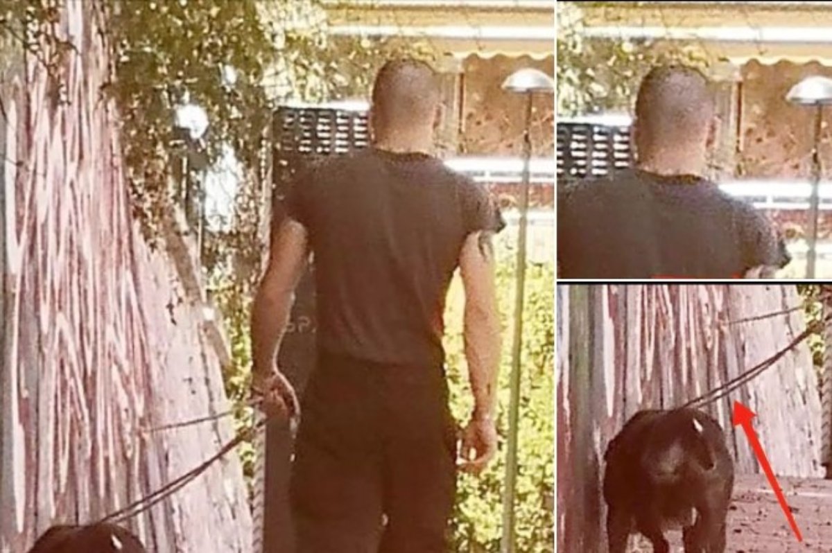 πιτμπουλ Βύρωνας