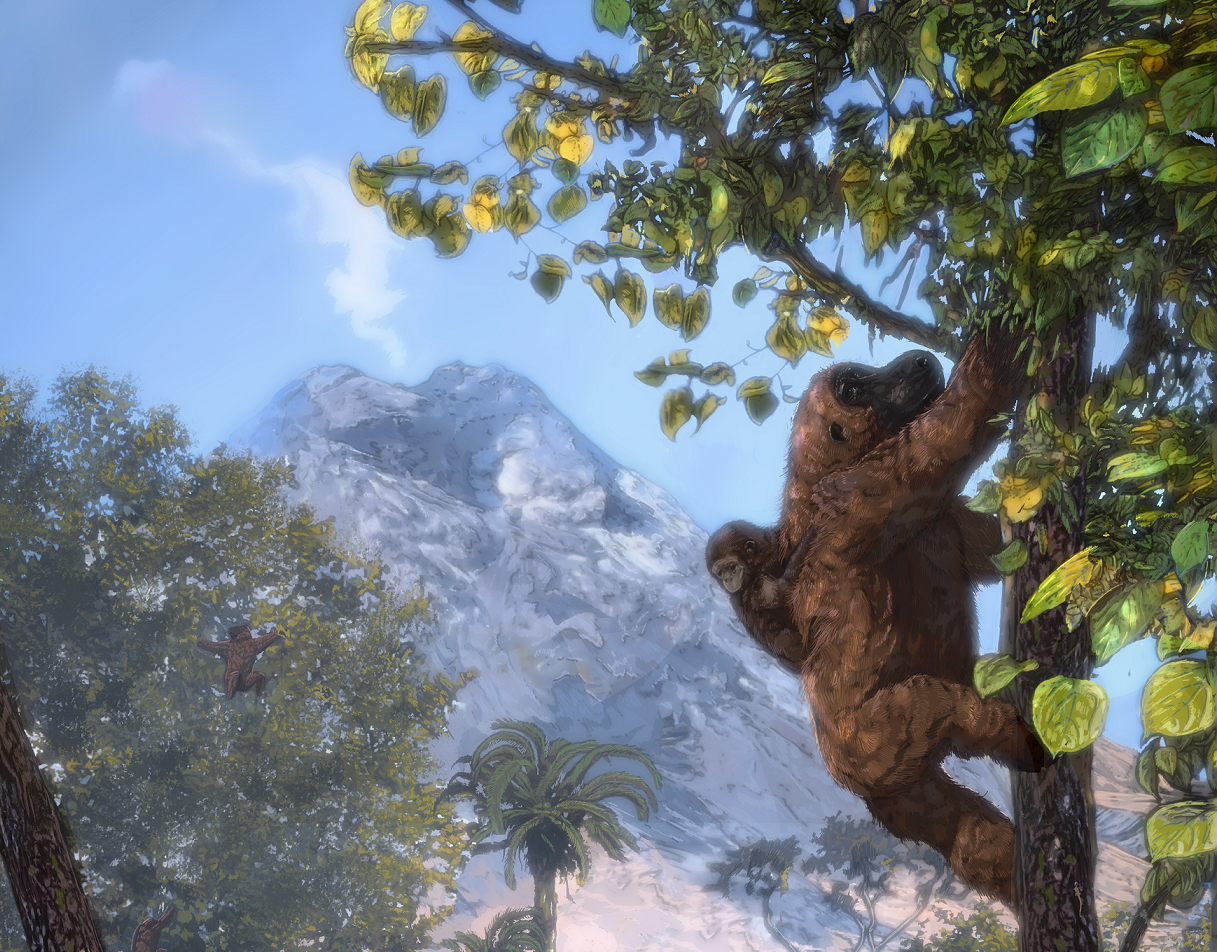 Ο λόγος που οι πίθηκοι στάθηκαν όρθιοι – Η έρευνα που ανατρέπει όσα γνωρίζαμε