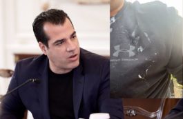 Θάνος Πλεύρης