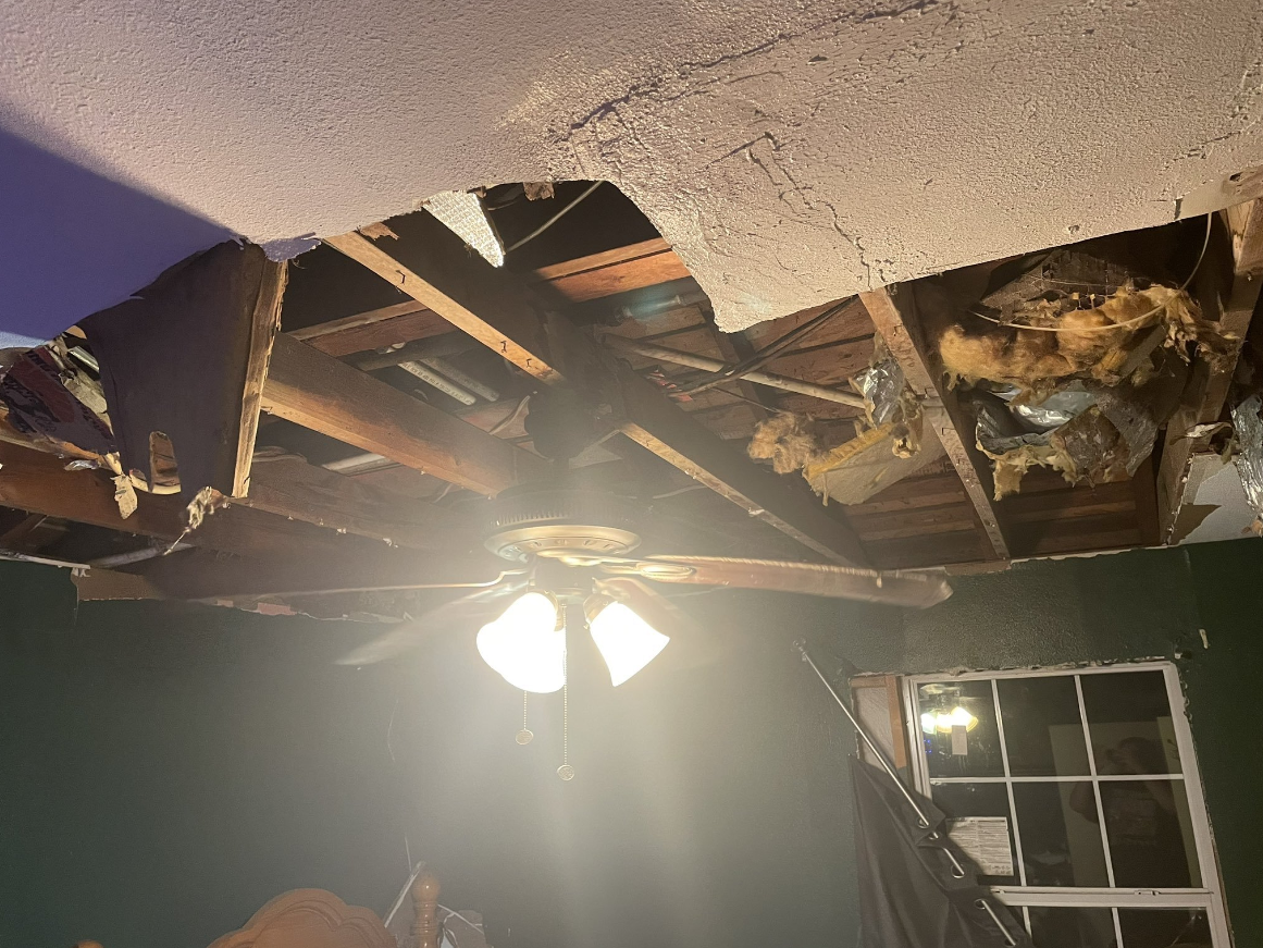 Twitch streamer dylastein ταβάνι