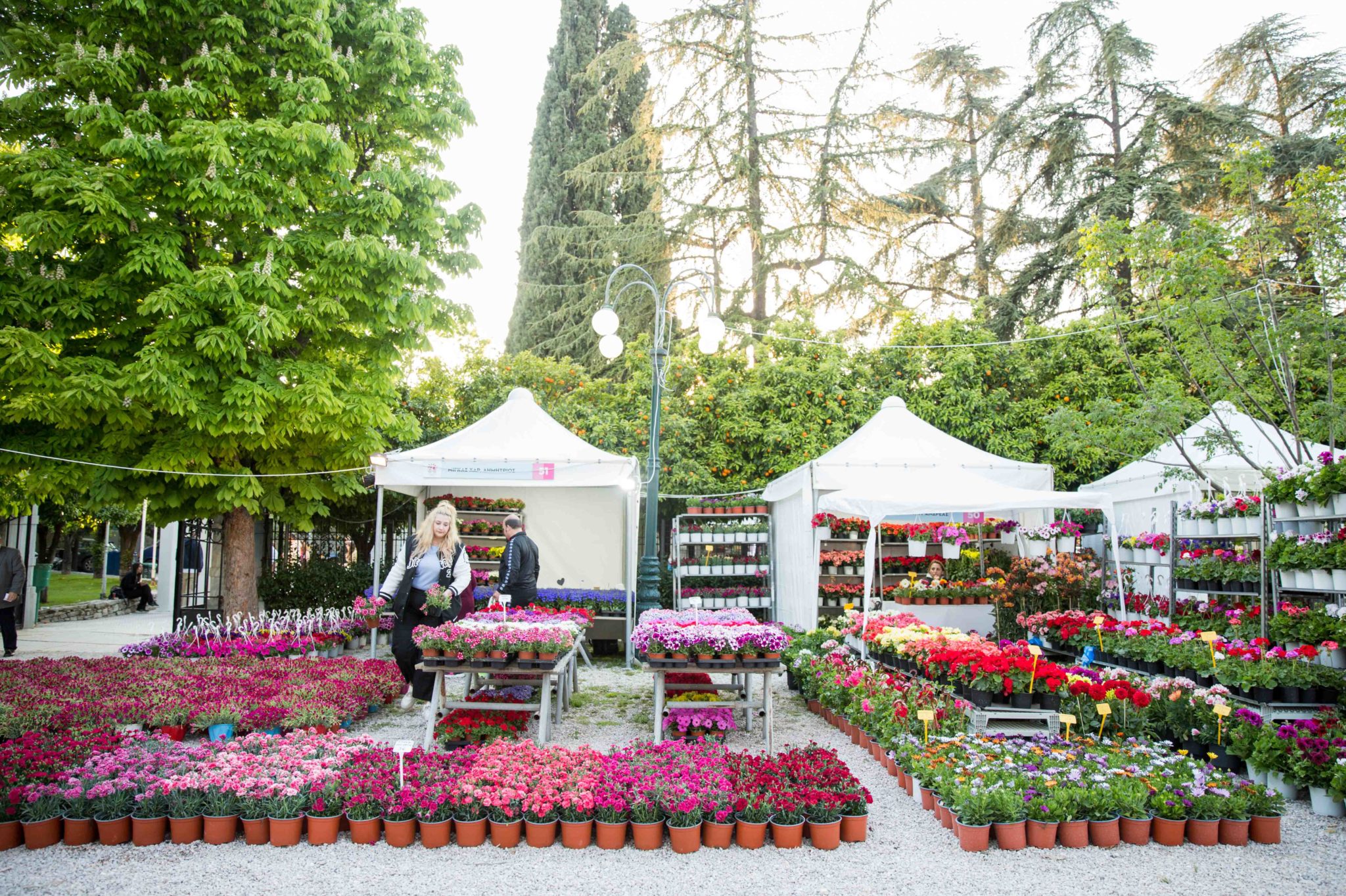 Περίπτερα στην 69η Ανθοκομική Κηφισιάς