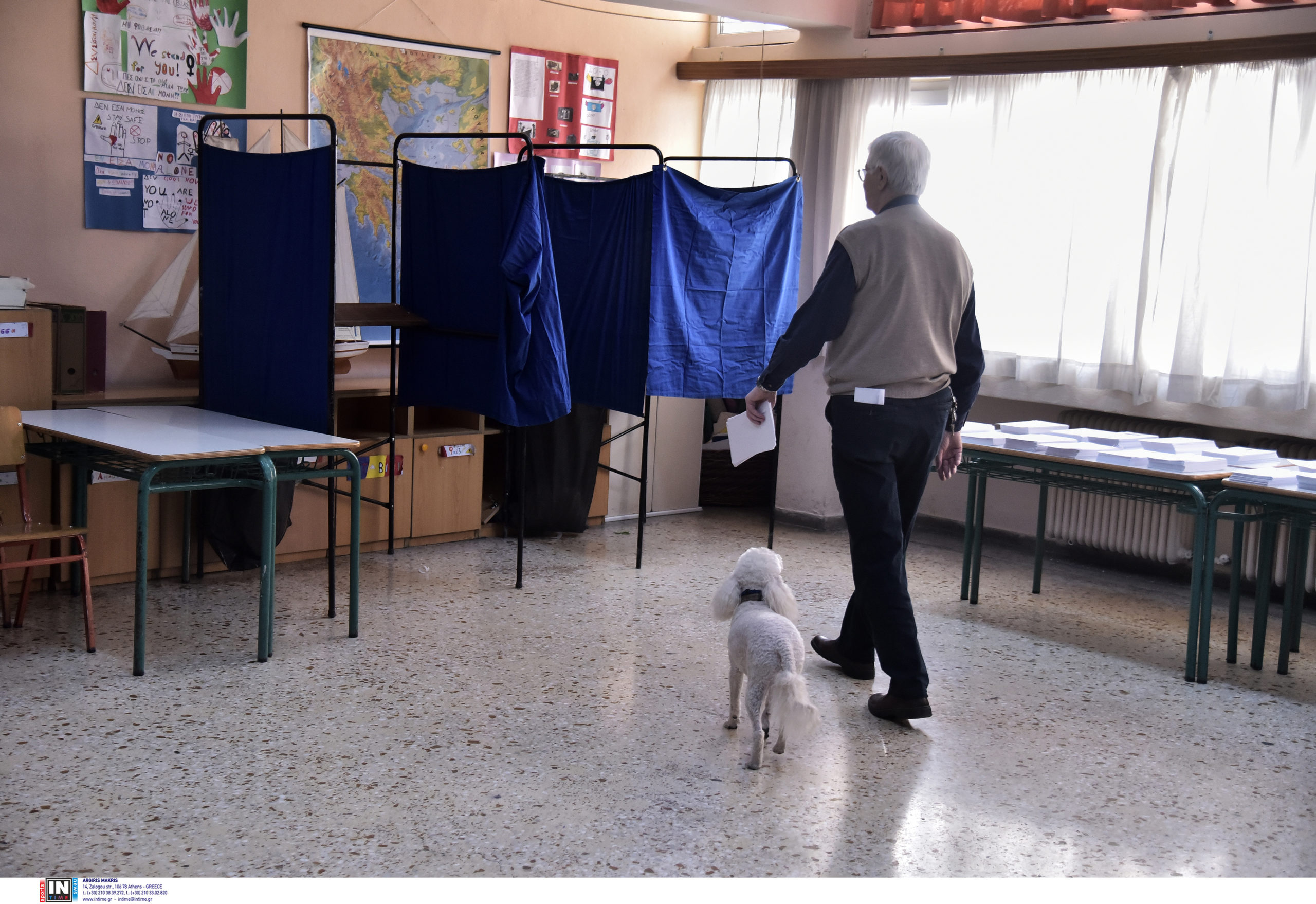 εκλογές σκυλάκι