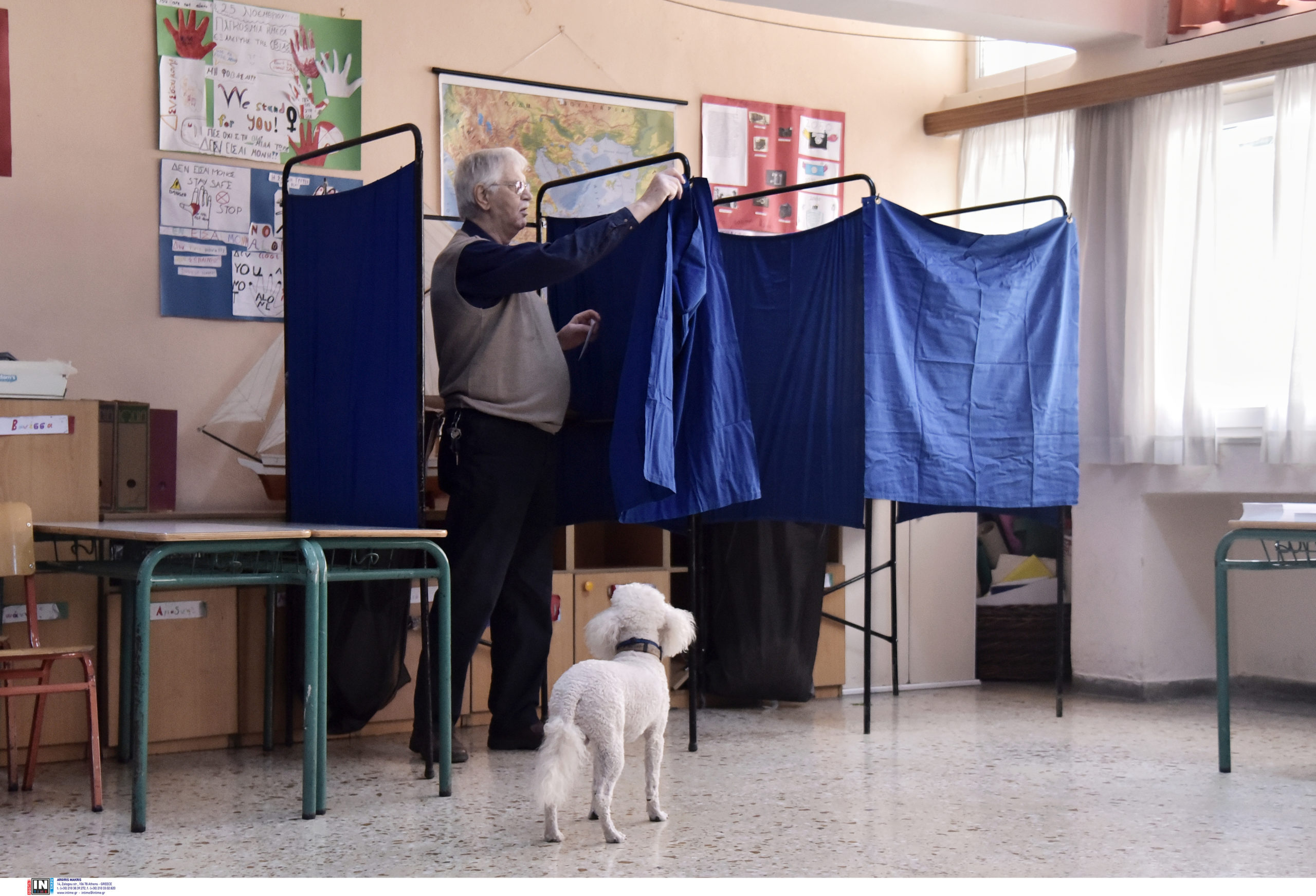 εκλογές σκυλάκι