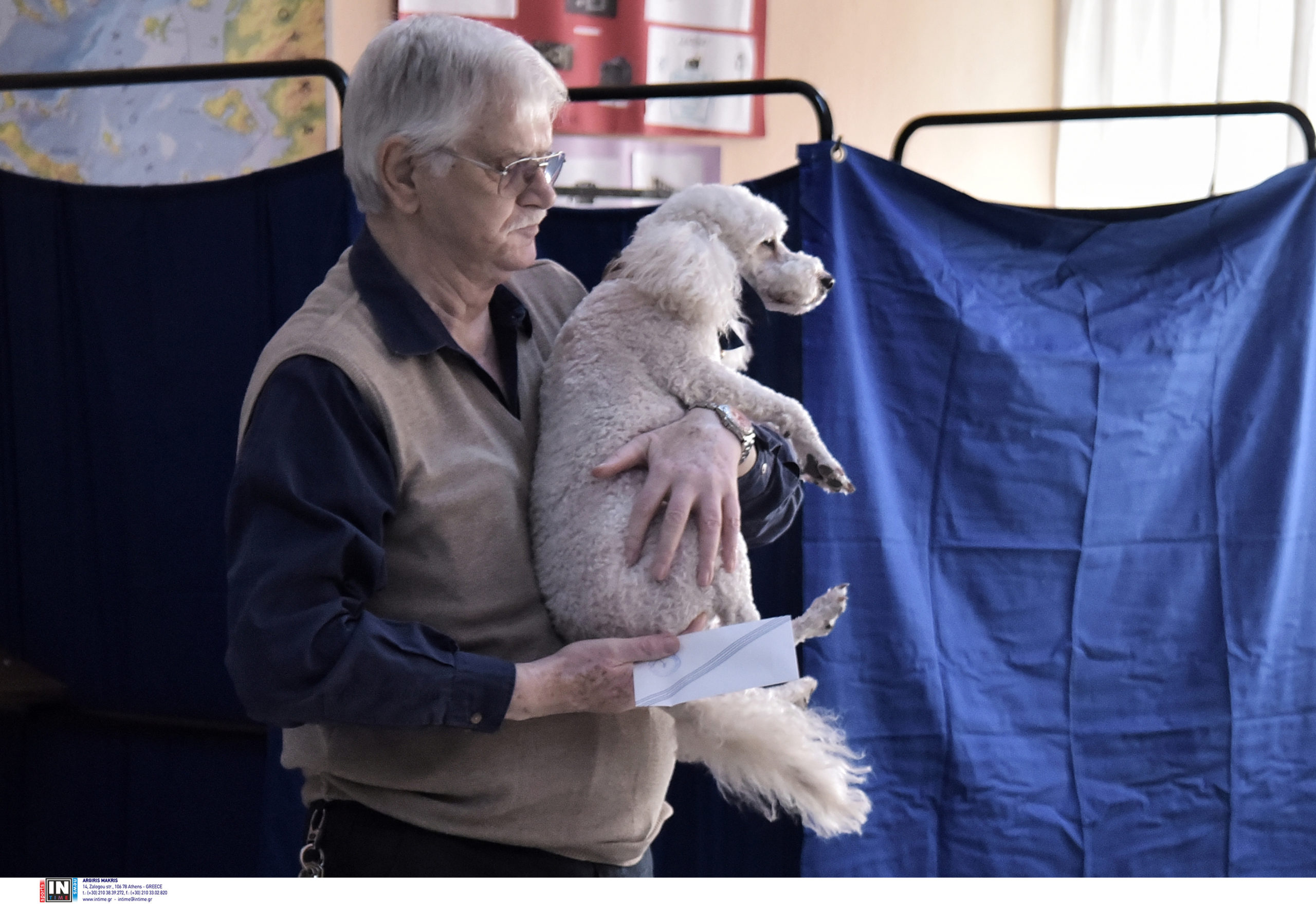 εκλογές σκυλάκι