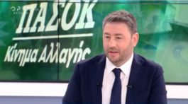 Ο πρόεδρος του ΠΑΣΟΚ - ΚΙΝΑΛ, Νίκος Ανδρουλάκης