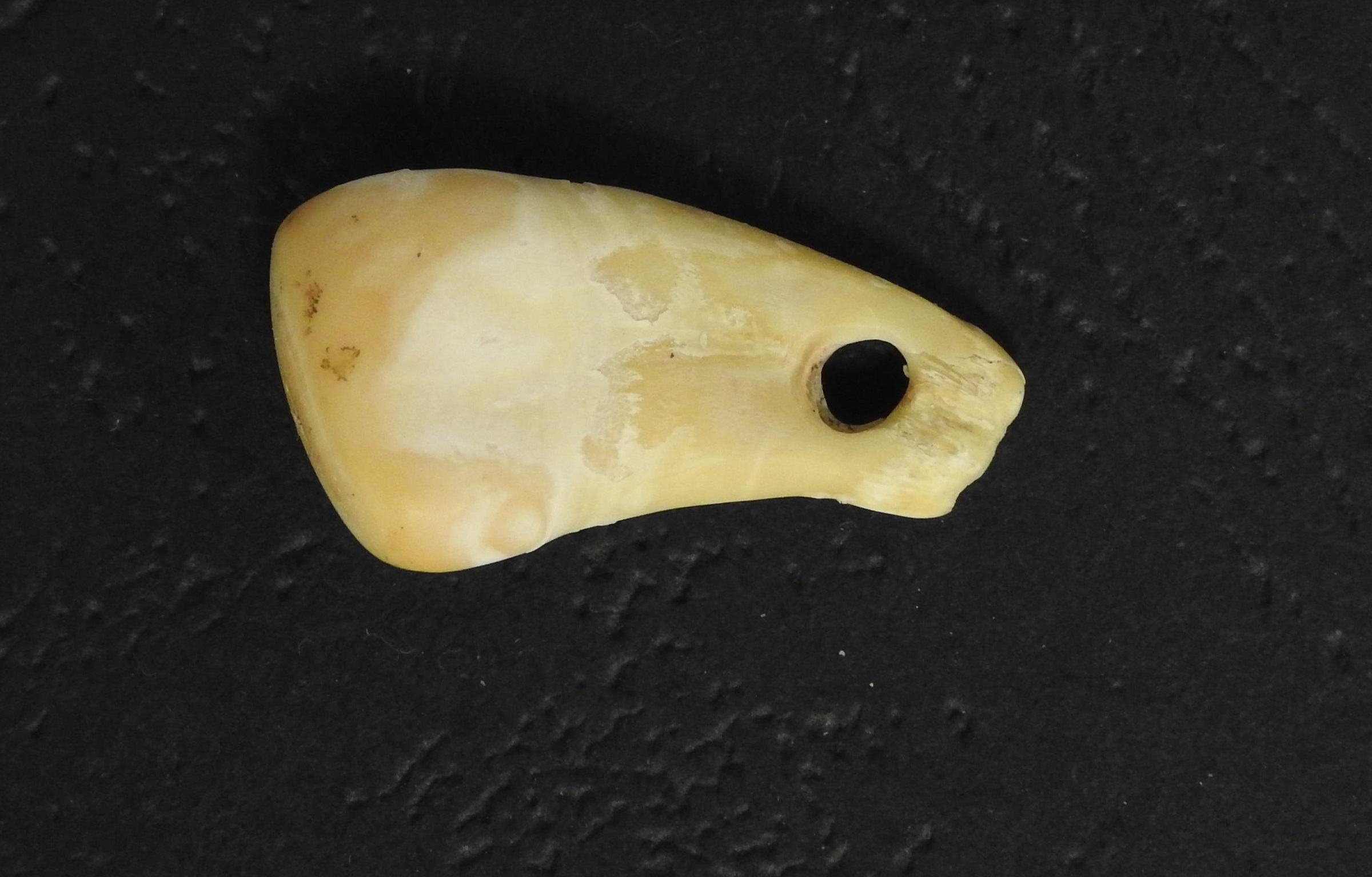 Αρχαίο ανθρώπινο DNA ανακτήθηκε από μενταγιόν ηλικίας περίπου 20.000 ετών – ΦΩΤΟ