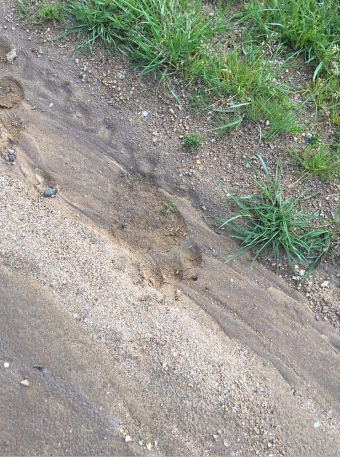 Θεσσαλονίκη 