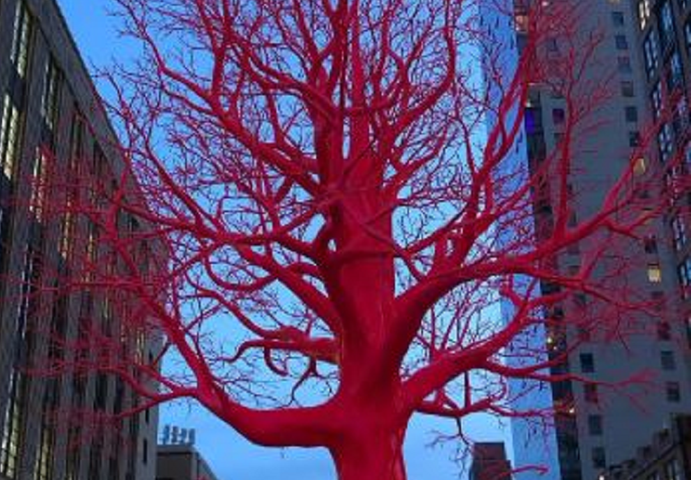 δέντρο Νέα Υόρκη