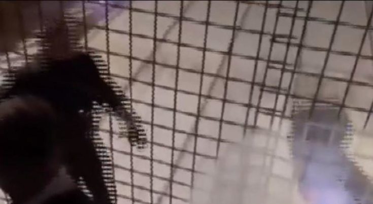 Διάρρηξη σε αποθήκη στην Ομόνοια