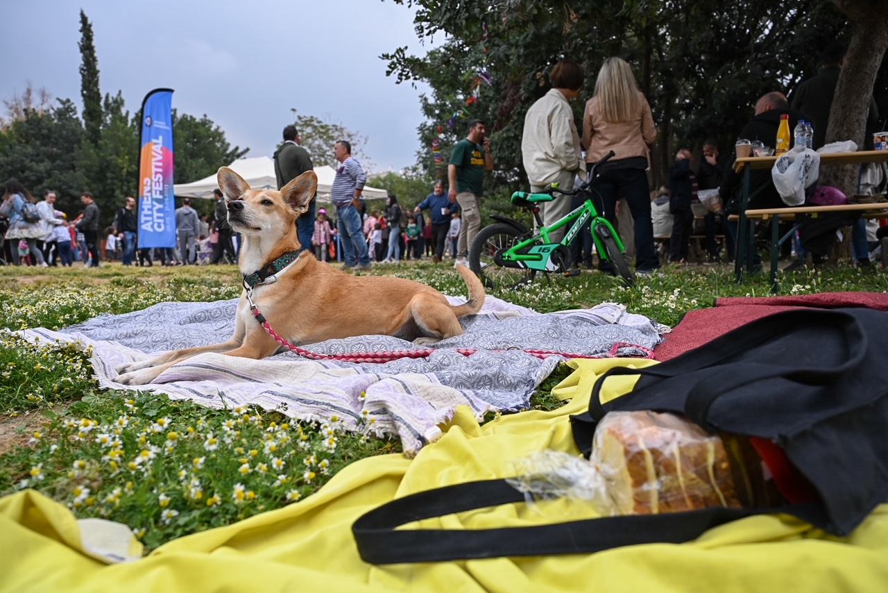 Δήμος Αθηναίων Πρωτομαγιά