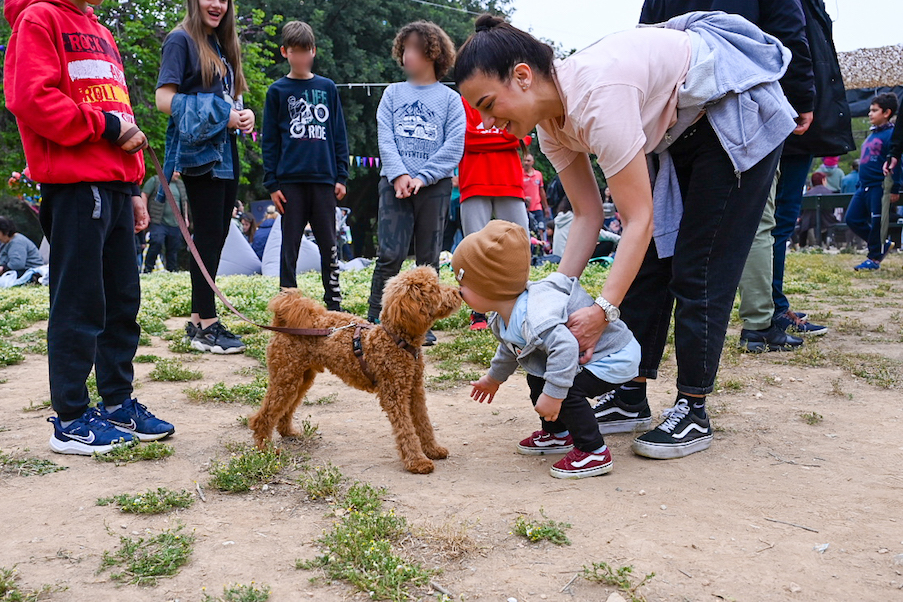 Δήμος Αθηναίων Πρωτομαγιά