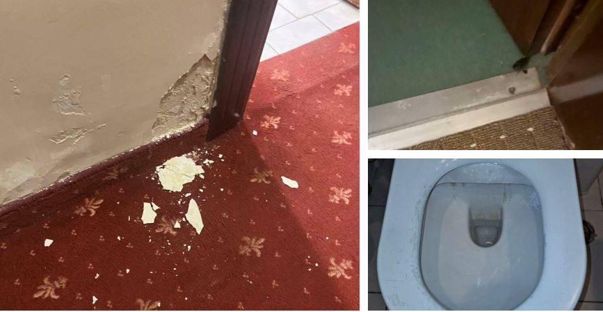 Εκδρομή εφιάλτης για Κύπριους μαθητές στη Θεσσαλονίκη: Καταγγέλλουν άθλιες συνθήκες και… κατσαρίδες στο ξενοδοχείο τους