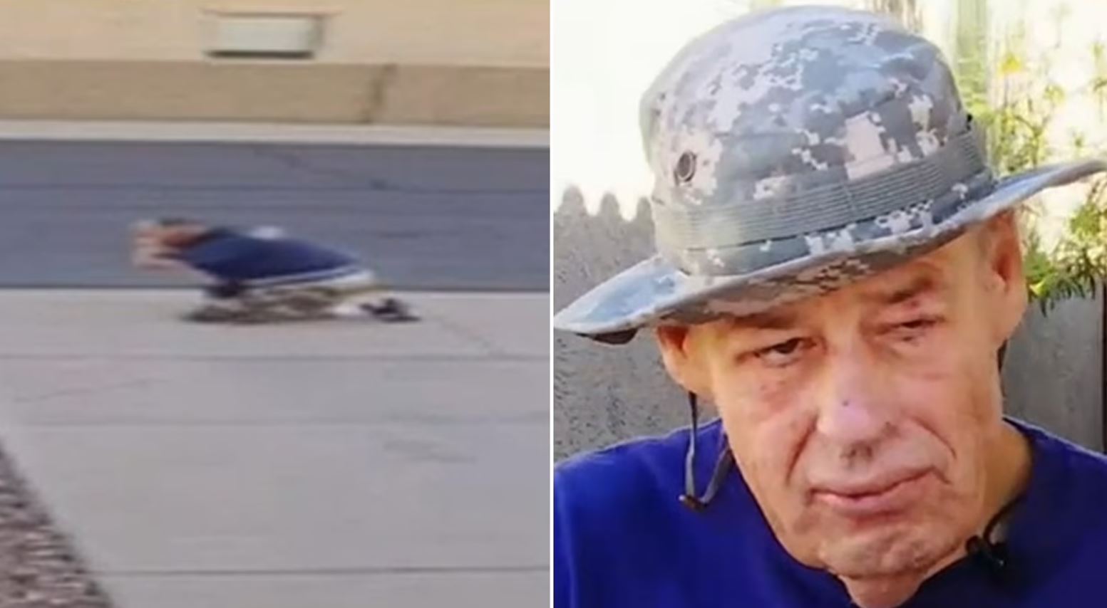 μέλισσες ΗΠΑ