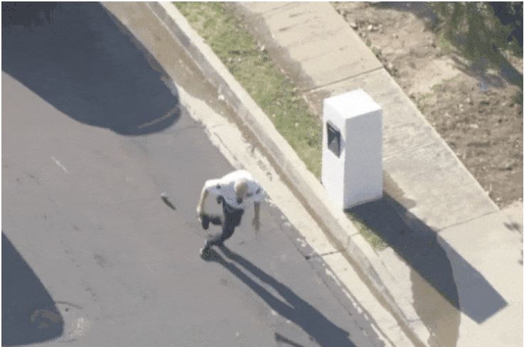 επίθεση μέλισσες