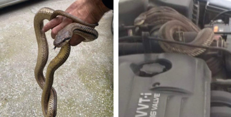 Θεσσαλονίκη