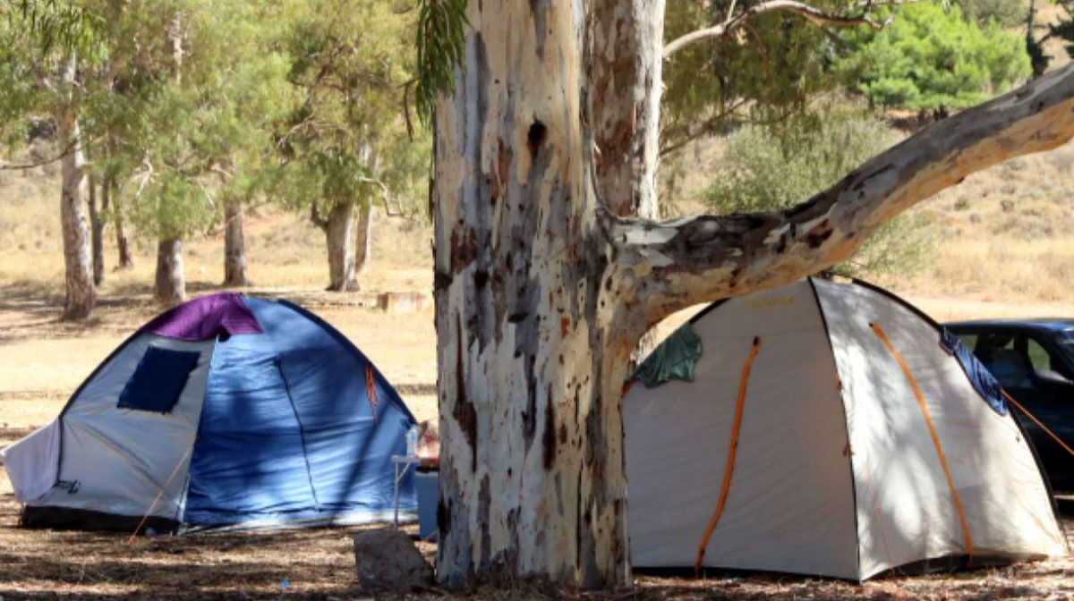 κατασκηνώσεις