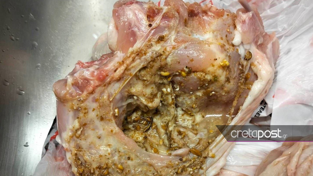 Κοτόπουλο σκουλήκια Ηράκλειο