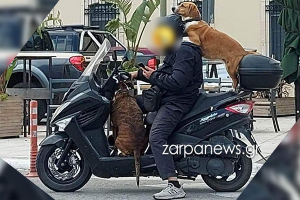 Κρήτη μηχανάκι σκύλοι