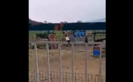 Λαγκαδάς Κακοποίηση σκύλου