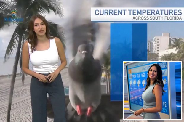 μετεωρολόγος