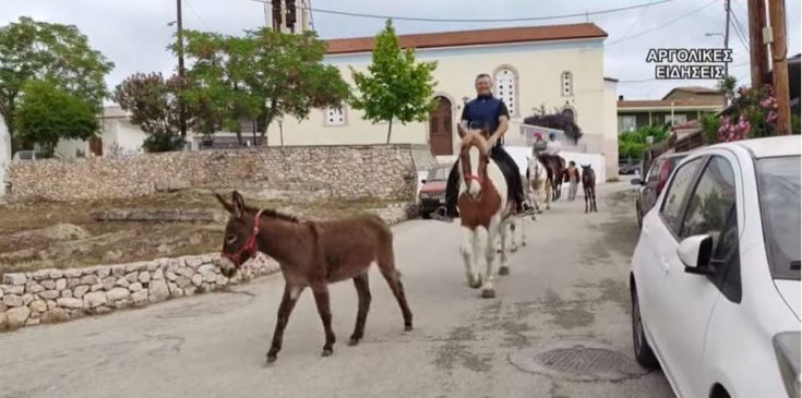Ναύπλιο έφιππος
