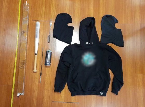 Νέα Ερυθραία