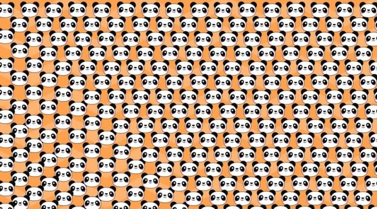 Οπτική ψευδαίσθηση πάντα έξω