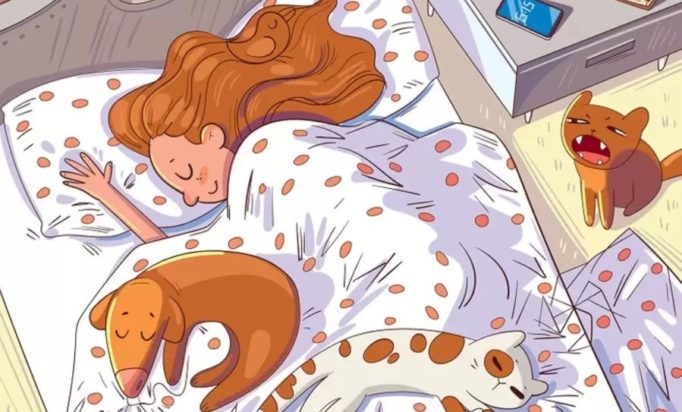 Οπτική ψευδαίσθηση μέλισσα