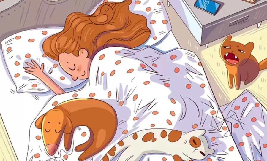 Οπτική ψευδαίσθηση μέλισσα