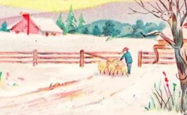 οπτική ψευδαίσθηση ζώα λύση