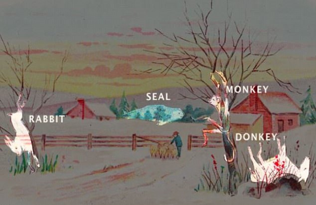 οπτική ψευδαίσθηση ζώα λύση