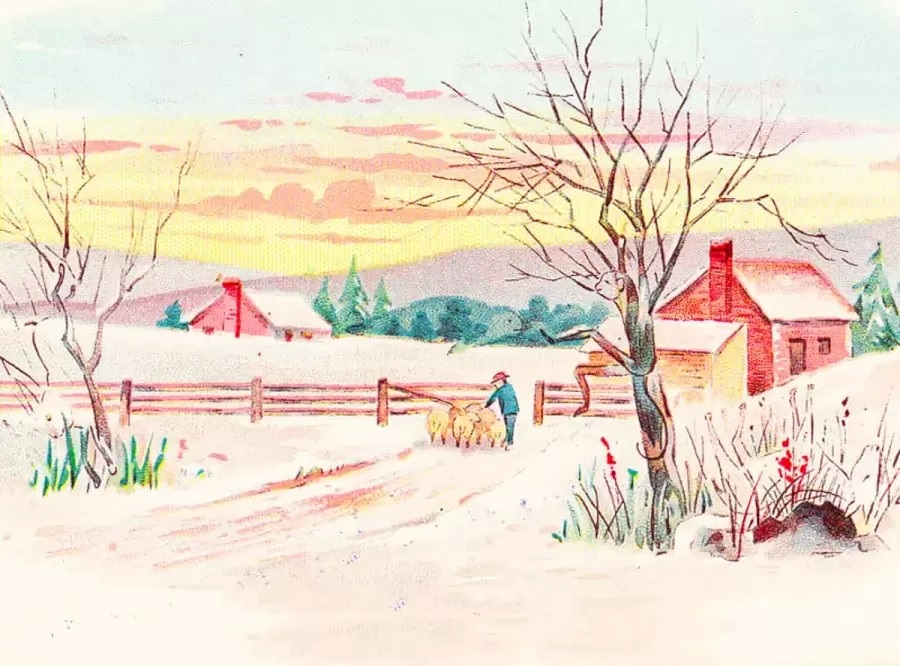 οπτική ψευδαίσθηση ζώα λύση