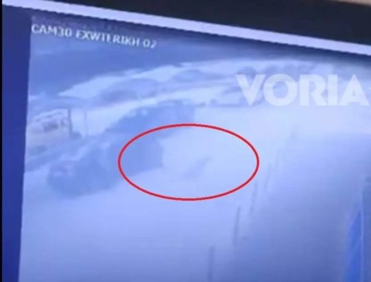 Θεσσαλονίκη σκύλος