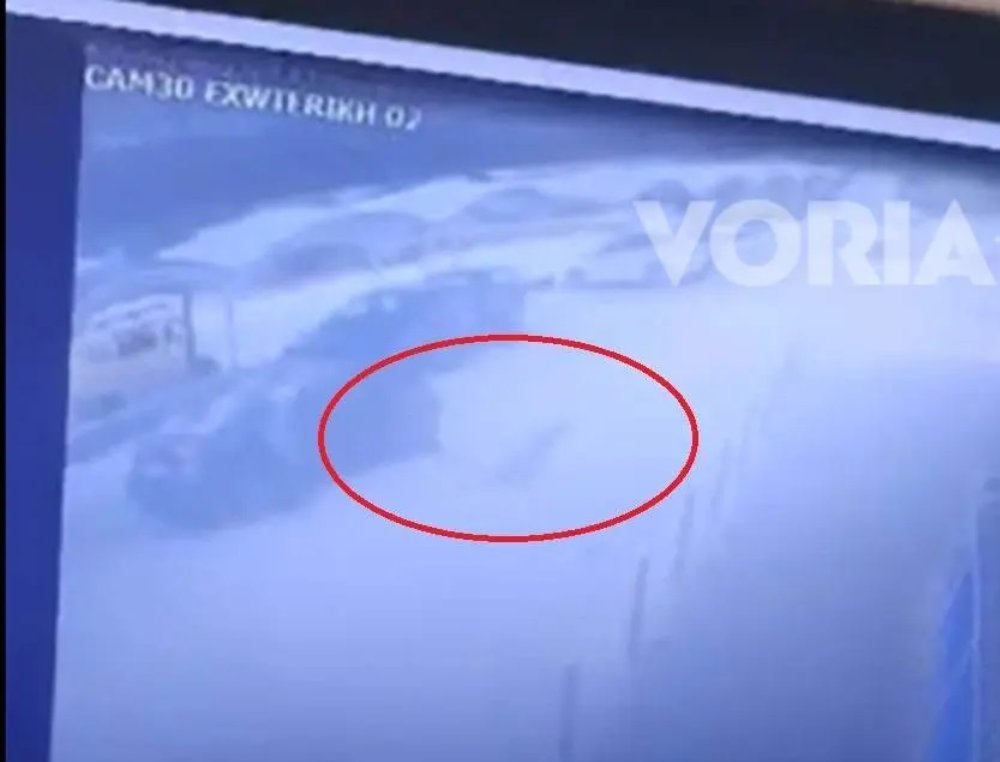 Θεσσαλονίκη σκύλος