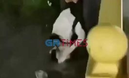 Πίτμπουλ Βόλος