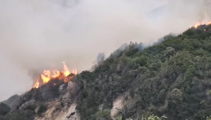 Σάμος φωτιά