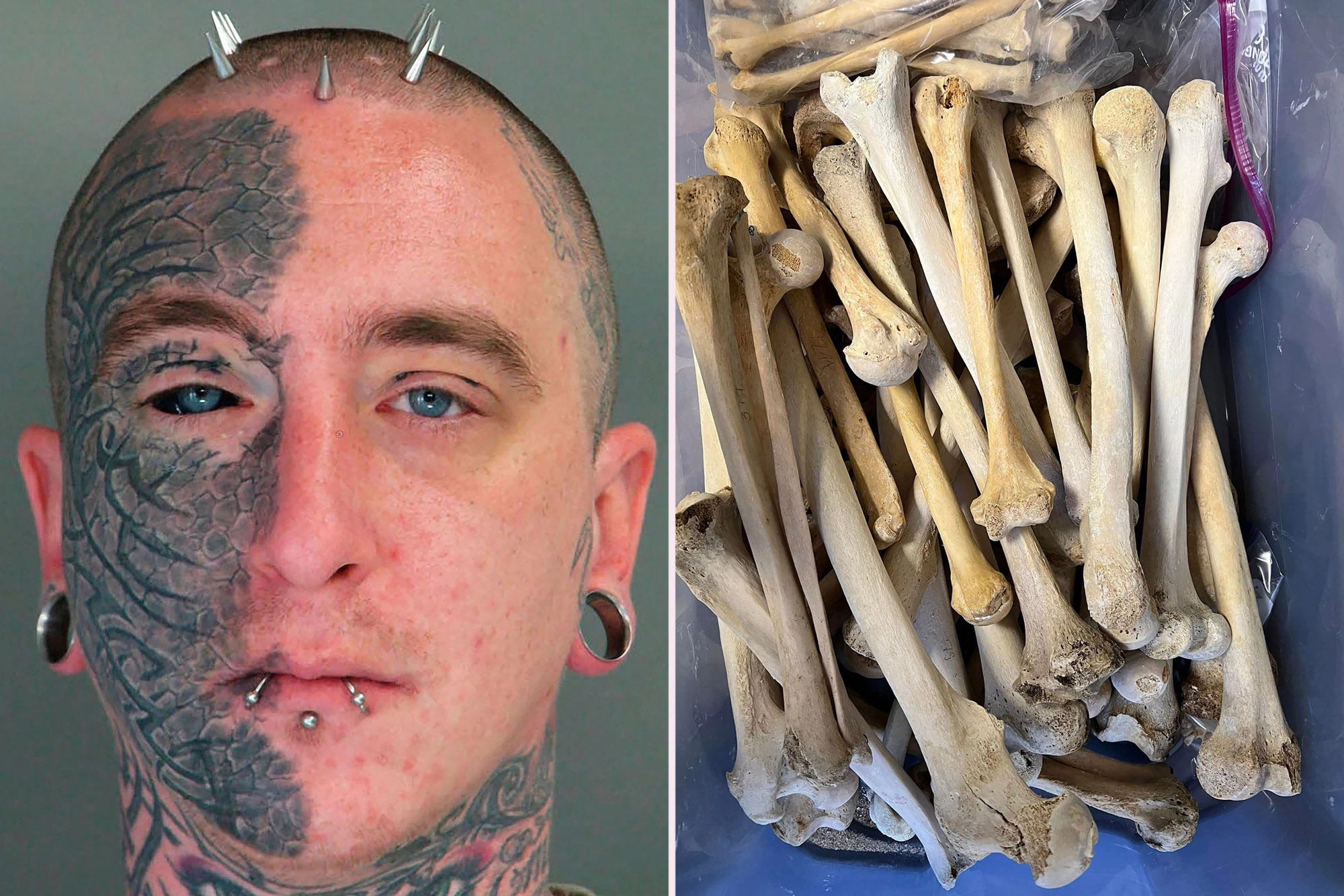 μέλη κόκκαλα