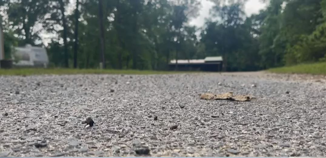 ΗΠΑ: Πυροβολισμοί εναντίον 14χρονης