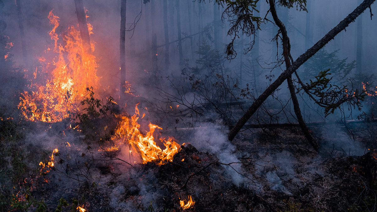 Πυρκαγιές στον Καναδά: Το Μόντρεαλ πνίγεται από τον καπνό – Καταγράφεται η χειρότερη ατμοσφαιρική ρύπανση στον πλανήτη
