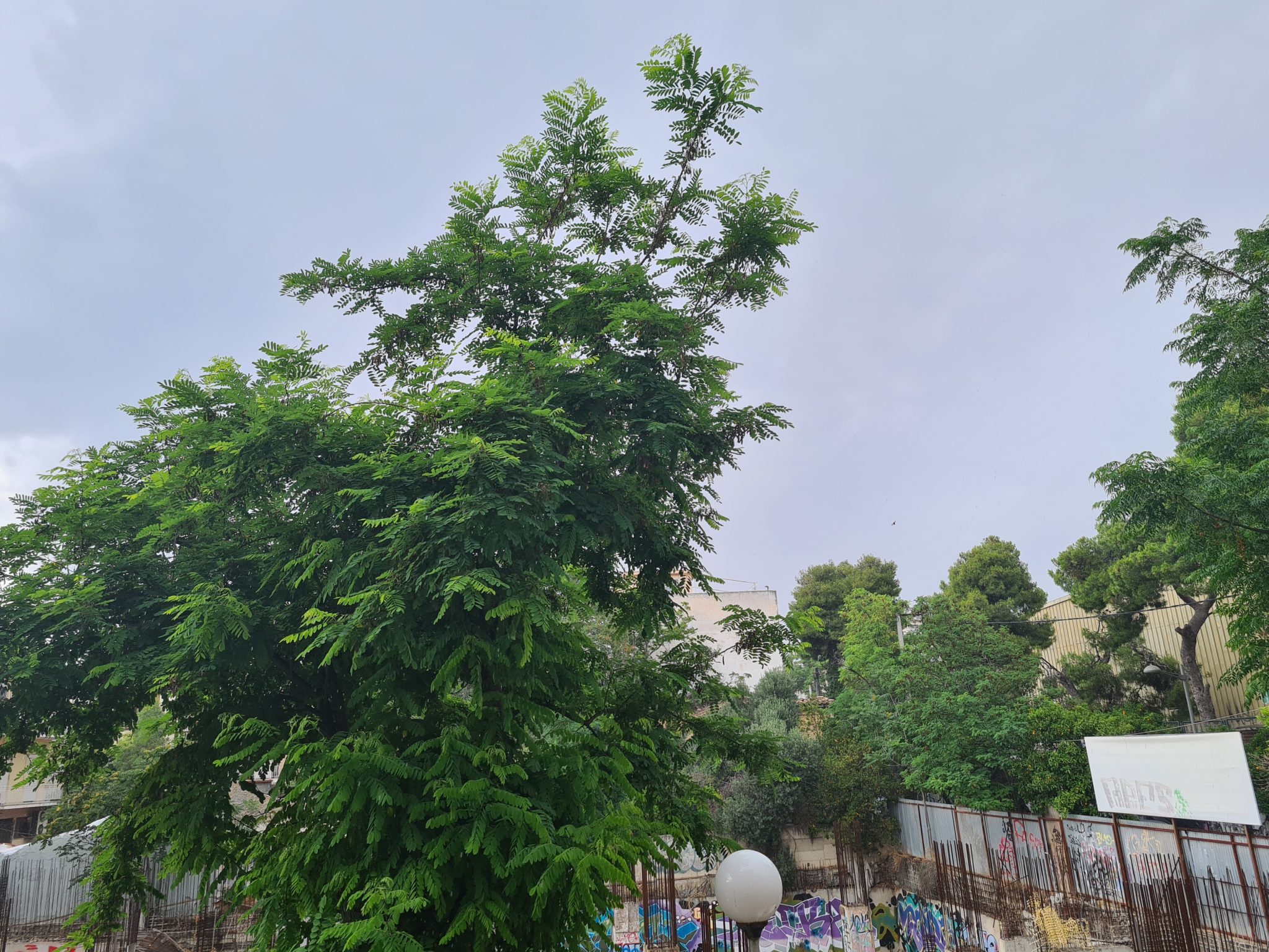 κακοκαιρία