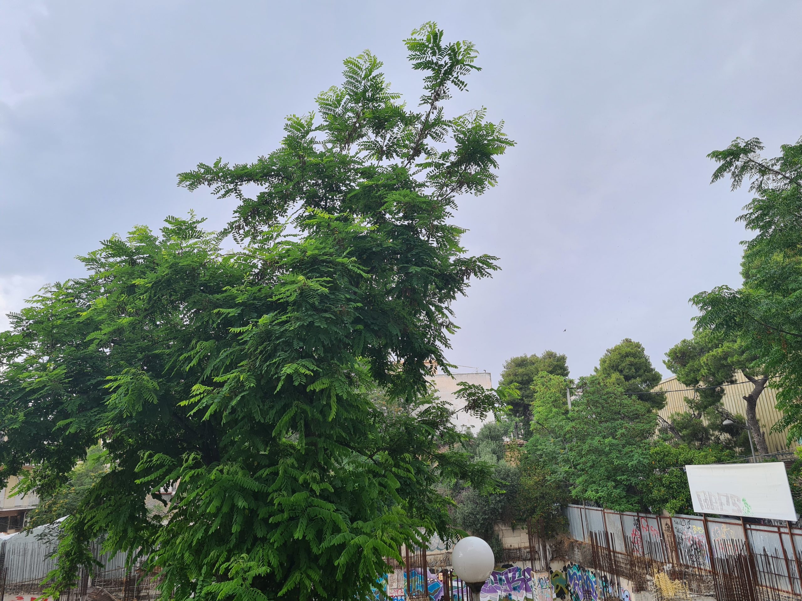 κακοκαιρία