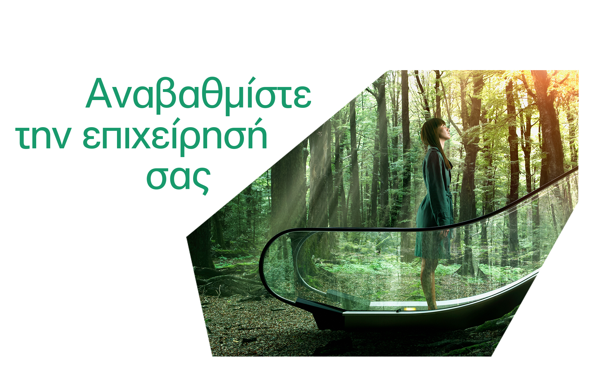 Η Alpha Bank βρίσκεται δίπλα στην ελληνική επιχειρηματικότητα με προνομιακές λύσεις χρηματοδότησης και συμβουλευτικής τραπεζικής