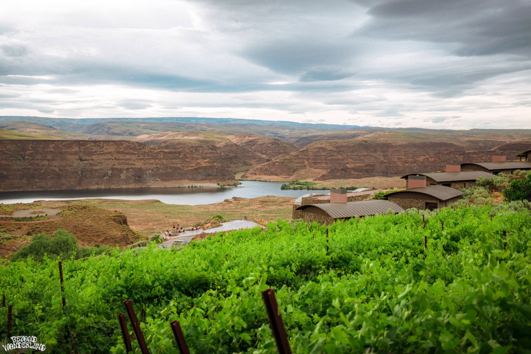 ΗΠΑ: 2 νεκροί και 3 τραυματίες από πυροβολισμούς έξω από μουσικό φεστιβάλ